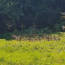 Nelegalios kapinės – ne išeitis: kur Klaipėdoje laidoti gyvūnus?