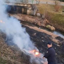 Ugniagesiai gelbėtojai šiemet jau gesino beveik 700 žolės gaisrų