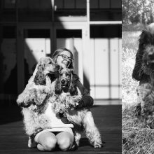 Veislė: anglų kokerspanielis – linksmas, judrus, protingas, draugiškas, vaikus mylintis šeimos šuo.