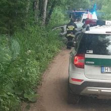 Kretingos rajone į medį rėžėsi automobilis: du žmonės atsidūrė ligoninėje