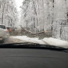 Lietuva laiko sniego išbandymą: virsta medžiai, dėl avarijų keliuose – chaosas