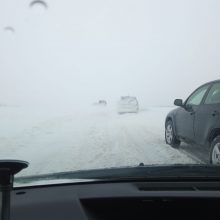 Lietuva laiko sniego išbandymą: virsta medžiai, dėl avarijų keliuose – chaosas