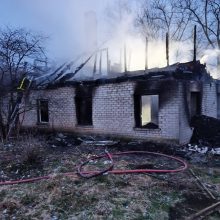 Tragiškas gaisras Anykščių rajone: žuvo paauglė, du mažamečiai ir pernai gimęs kūdikis
