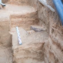 Perlojos gatvėje atrado kapines: laidoti ir naujagimiai