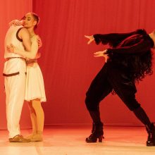 Baleto „Vaivos juosta“ choreografė: džiugu, kad pasiekėme tūkstančius lietuvių širdžių