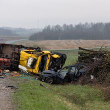 Vilniaus rajone – tragiška avarija: žuvo penki žmonės, tarp jų – trys nepilnamečiai