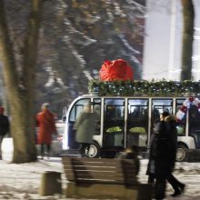 Jonavoje suspindo ne tik Kalėdų eglė – nušvito ir pasakiškas eglučių miestelis