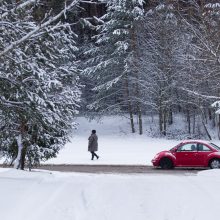 Tikrins iš miškų išvažiuojančius automobilius: Kalėdų stalą kai kurie gali pasipuošti baudomis