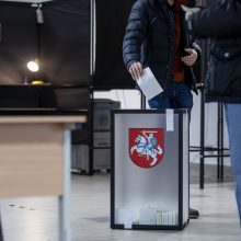 Dauguma partijų taupo Seimo rinkimams: kandidatams į prezidentus neišlaidauja