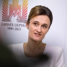 V. Čmilytė-Nielsen: apie mane platina šmeižtą