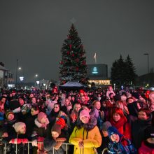 Panevėžyje sužibėjo 13 metrų aukščio natūrali Kalėdų eglė