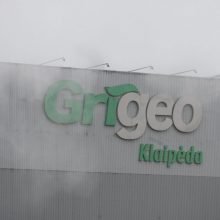 Teismas į „Grigeo Klaipėdos“ taršos bylą neįtraukė buvusių įmonės vadovų