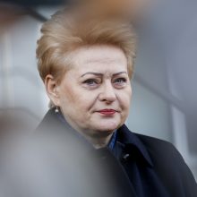 D. Grybauskaitė: melodramos valdžios elite atrodo juokingai ir kenkia reputacijai