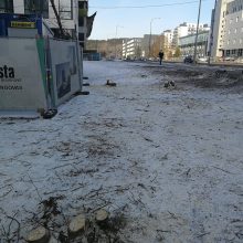 Vilniuje verda aistros: dėl pokyčių gatvėje – daugybė nupjautų medžių