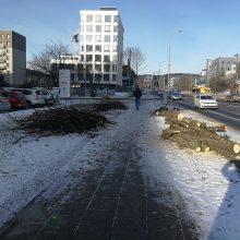 Vilniuje verda aistros: dėl pokyčių gatvėje – daugybė nupjautų medžių