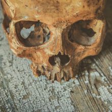 Šiurpu: upelio vagoje pusamžis vyras rado žmogaus kaulus