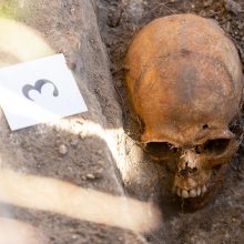 Pelkėje Trakų rajone rasta žmogaus kaukolė