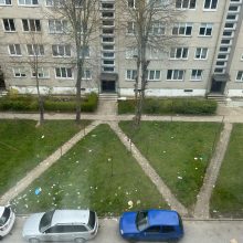 Tarp daugiabučių Debreceno kvartale – nemalonus vaizdelis