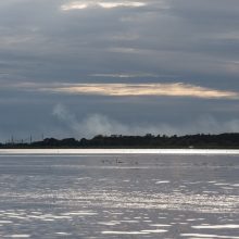 Kuršių nerijoje atidaroma nacionalinio parko Gamtos mokykla