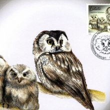 Pašto ženkle – paslaptingas Lietuvos paukštis