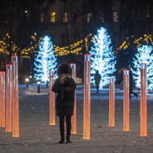 Vilniaus Kalėdų miestelyje – naujas traukos taškas Lukiškių aikštėje