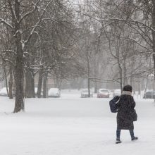 Sinoptikai įspėja: žiemos šaltukas įsismarkaus – kąs vis labiau