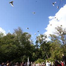 Neeilinėje Aleksoto šventėje – tūkstančiai svečių 