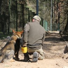 Lietuvos kinologai Ukrainos pasieniečių šunis moko ieškoti minų