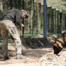 Lietuvos kinologai Ukrainos pasieniečių šunis moko ieškoti minų