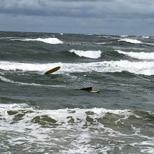 Melnragėje – banglentininkų apgultis