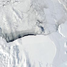 Antarktyje atskilo didžiausias pasaulyje ledkalnis