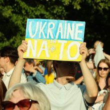 Lietuvos Seimas kreipėsi į NATO šalis, kad Vašingtone Ukraina būtų pakviesta į Aljansą