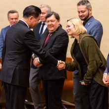 Lietuvoje viešintis Taivano ministras: esame du geri draugai