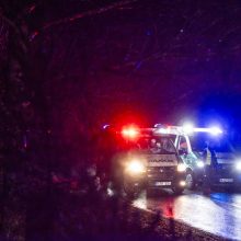 Trakų rajone į medį rėžėsi nuo policijos sprukęs BMW: žuvo 19-metis vairuotojas