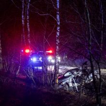 Trakų rajone į medį rėžėsi nuo policijos sprukęs BMW: žuvo 19-metis vairuotojas
