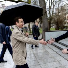 Su Švedijos kolega susitikusi I. Šimonytė ragina stiprinti gynybą, didinti investicijas