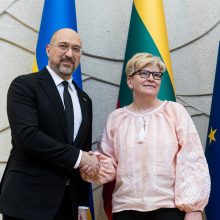 Ukrainos ir Lietuvos premjerai: vertinant NATO fondo iniciatyvą svarbus greitis