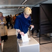 V. Adamkus prezidento rinkimuose sako balsavęs už pastovumą