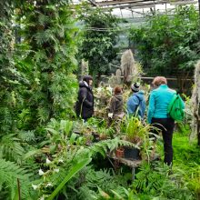 Ukrainos botanikos sodas prašo pagalbos: neįkainojamai kolekcijai ši žiema gali būti paskutinė