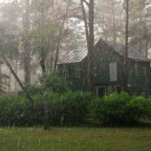 Lietuvoje – stiprus lietus, žaibuoja, virsta medžiai