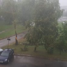 Sinoptikų prognozės išsipildė: Kaune lūžo medžiai, apsemta sporto halė