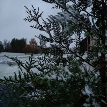 Kai kur Lietuvoje gerokai prisnigo: žiema atėjo į kiemą