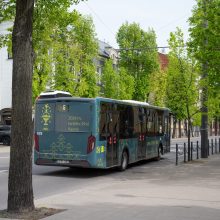 Kauno gatvėse – Dainų šventės spalvomis ir šiaudiniais sodais papuoštas autobusas