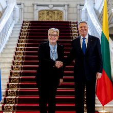I. Šimonytė su Rumunijos ir Suomijos vadovais aptarė didesnės paramos Ukrainai būtinybę