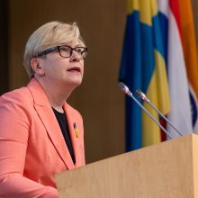 Premjerė tvirtą ryšį su diaspora įvardija vienu pagrindinių Vyriausybės prioritetų