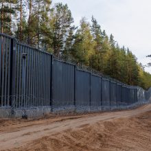 Į Lietuvą prasmukti bandžiusių neteisėtų migrantų pasieniečiai nefiksavo