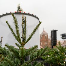 Kauno Rotušės aikštė šįvakar taps kalėdinio laukimo epicentru