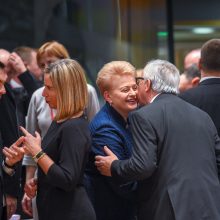 D. Grybauskaitė: „Brexit“ chaosas nukelia ES derybas dėl naujo biudžeto