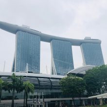 Singapūras – draugiškiausias miestas, kuriame skiriamos ir griežčiausios bausmės