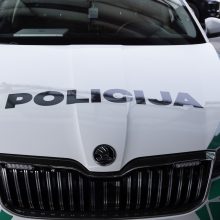 Prie Klaipėdos – gausių policijos pajėgų iš sostinės reidas: įkliuvo ir girti vairuotojai